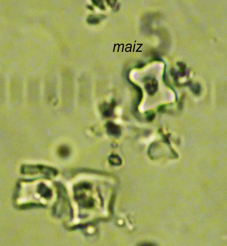 Panel 4 - 4